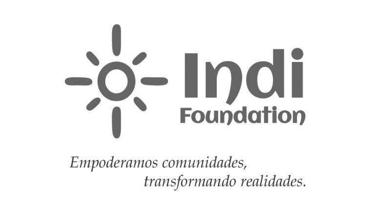 Logo Indi gris